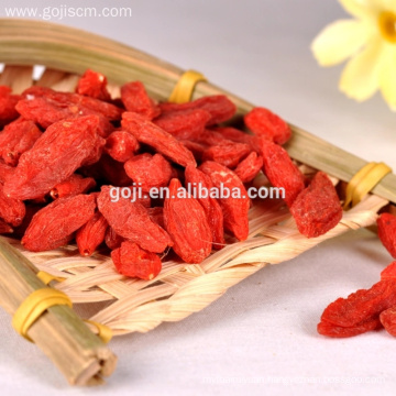 Non GMO Natural sun dried goji berries